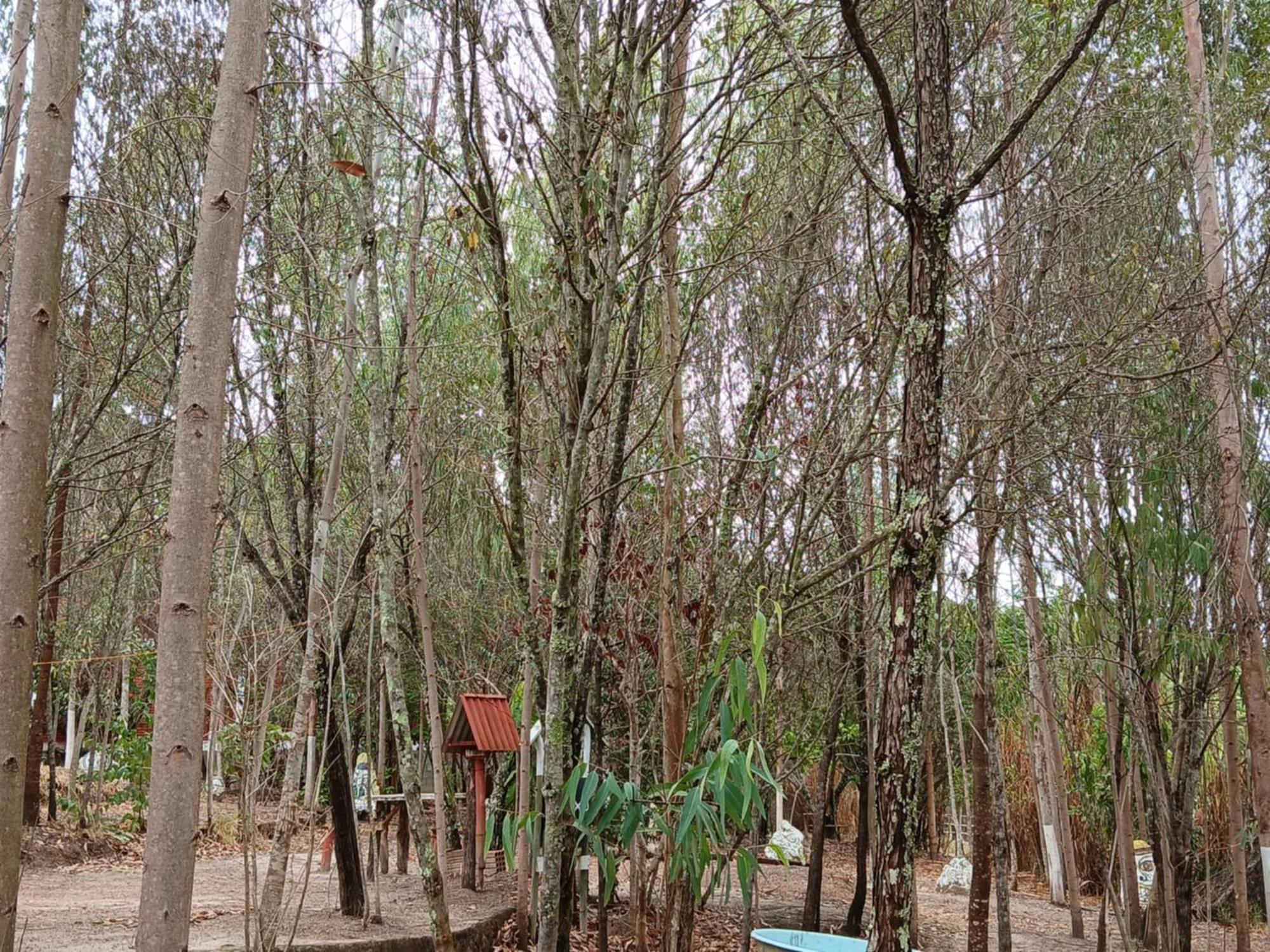 Camping Avohai Sao Tome das Letras Exterior photo